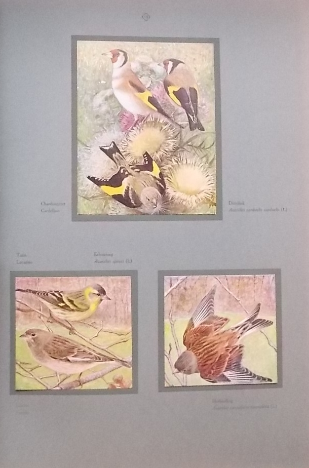ROBERT (Léo-Paul) Les oiseaux de chez nous. Neuchâtel et Paris, Delachaux & Niestlé, 1933. – Image 2